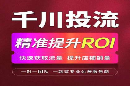 案例解读：网络推广与竞价策略